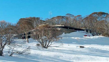 Snow Bunny - Accommodation Port Macquarie 1