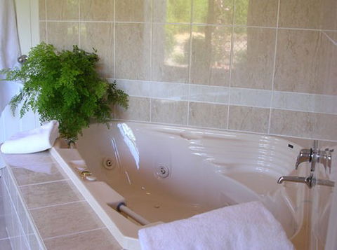 Mescals At Pampoolah Bed And Breakfast - Accommodation Port Macquarie 1