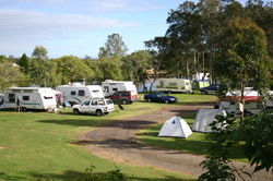 Dawson River Tourist Park - Accommodation Port Macquarie 1