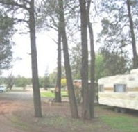 The Kelpie Caravan Park - Accommodation Port Macquarie