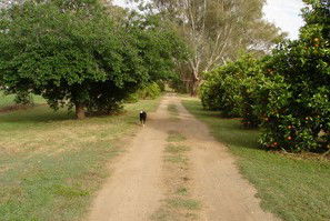 Murray Bank Holiday Units And Yabby Farm - Accommodation Port Macquarie 5