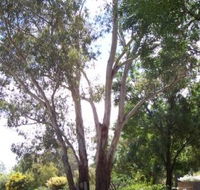 The Church House B and B - Accommodation Port Macquarie