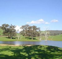 Hillview Farmstay - Accommodation Port Macquarie