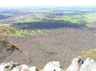 Henty Central Bed And Breakfast - Accommodation Port Macquarie 3