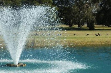 Howlong Country Golf Club & Motel - Accommodation Port Macquarie 5