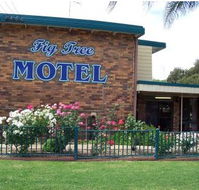 Fig Tree Motel - Accommodation Port Macquarie