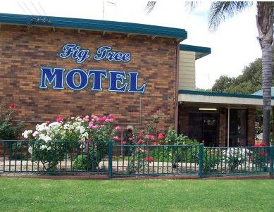 Fig Tree Motel - Accommodation Port Macquarie 0