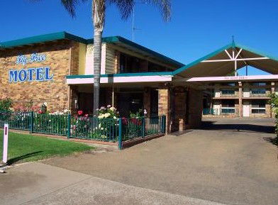 Fig Tree Motel - Accommodation Port Macquarie 1
