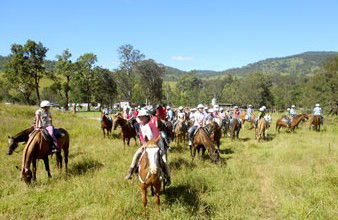 Camp Cobark - Accommodation Port Macquarie 0