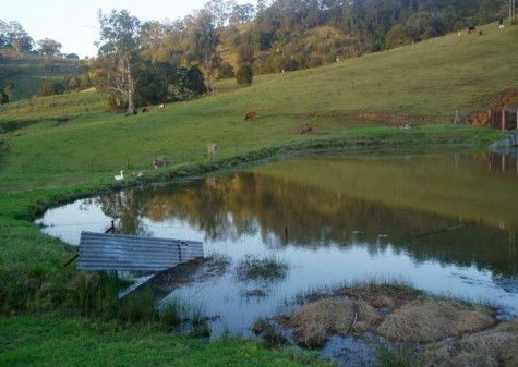 Barkeldine Farm Country Retreat - Accommodation Port Macquarie 0