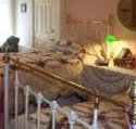 A Winter-Rose Cottage Bed and Breakfast - Accommodation Port Macquarie