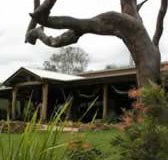 The Hollow Log Country Retreat - Accommodation Port Macquarie