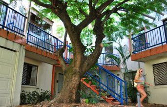 Surfers Paradise QLD Accommodation Port Macquarie