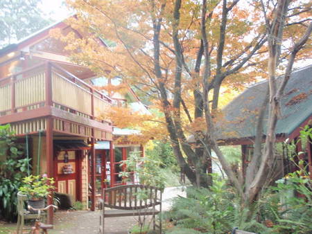 Como Cottage Accommodation - Accommodation Port Macquarie 0