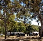 Barracrab Caravan Park - Accommodation Port Macquarie