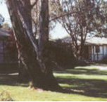 Winbi River Resort - Accommodation Port Macquarie
