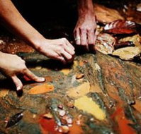 Daintree Eco Lodge And Spa - Accommodation Port Macquarie