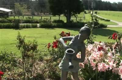 Jacaranda Country Lodge - Accommodation Port Macquarie 2