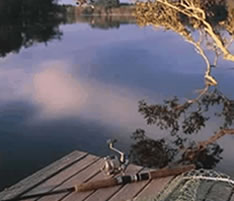 Jacaranda Country Lodge - Accommodation Port Macquarie 4