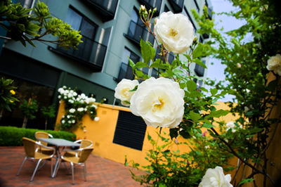 The Old Woolstore Apartment Hotel - Accommodation Port Macquarie 5