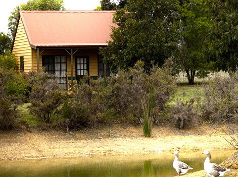 Mountain View Motor Inn And Holiday Lodges - Accommodation Port Macquarie 2