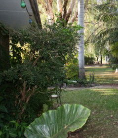 Douglas Daly Holiday Park - Accommodation Port Macquarie 1
