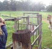 Boronia Farm Farmstay - Accommodation Port Macquarie