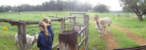 Boronia Farm Farmstay - Accommodation Port Macquarie 0