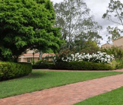 Barossa Weintal Hotel Motel - Accommodation Port Macquarie 2