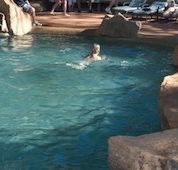 Undara Experience Lava Lodge - Accommodation Port Macquarie