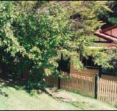 Apple Tree Cottage - Accommodation Port Macquarie