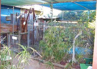 Safari Lodge Motel - Accommodation Port Macquarie 1