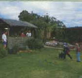 Tambo Lodge - Accommodation Port Macquarie