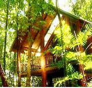 The Canopy Treehouses - Accommodation Port Macquarie
