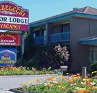 Strzelecki Motor Lodge - Accommodation Port Macquarie