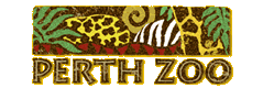 Perth Zoo - Accommodation Port Macquarie