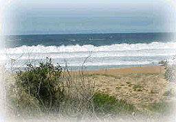 Hardys Bay NSW Accommodation Port Macquarie