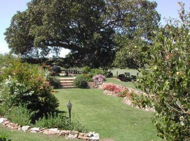 Maddies Of Bolwarra - Accommodation Port Macquarie 1