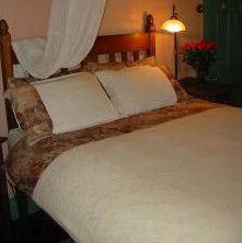 Maddies Of Bolwarra - Accommodation Port Macquarie 3