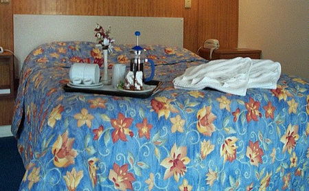 Bandicoot Motor Inn - Accommodation Port Macquarie 2