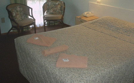 Bandicoot Motor Inn - Accommodation Port Macquarie 4