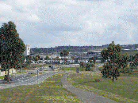 Golden Palms Motel - Accommodation Port Macquarie 0