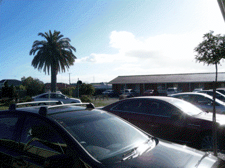 Golden Palms Motel - Accommodation Port Macquarie 3