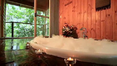 Tree Houses Of Montville - Accommodation Port Macquarie 0