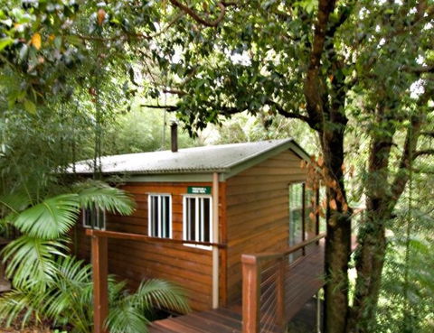 Tree Houses Of Montville - Accommodation Port Macquarie 2