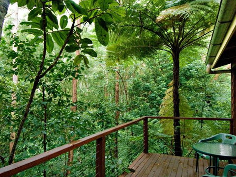 Tree Houses Of Montville - Accommodation Port Macquarie 3