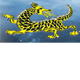 Dragon Phoenix Motel amp Restuarant - Accommodation Port Macquarie