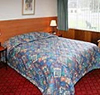 Mt Lyell Motor Inn
