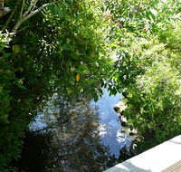 Mole Creek Hotel - Accommodation Port Macquarie
