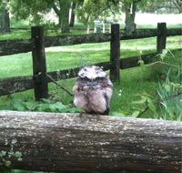 Milton Park - Accommodation Port Macquarie